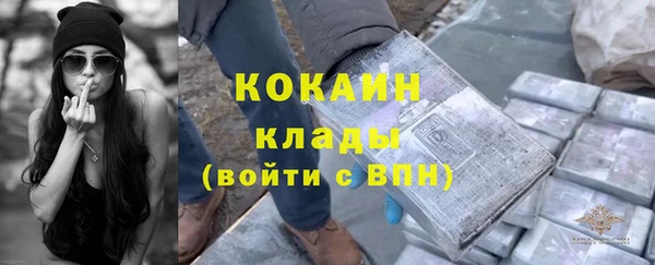 метадон Гусев