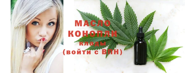 метадон Гусев