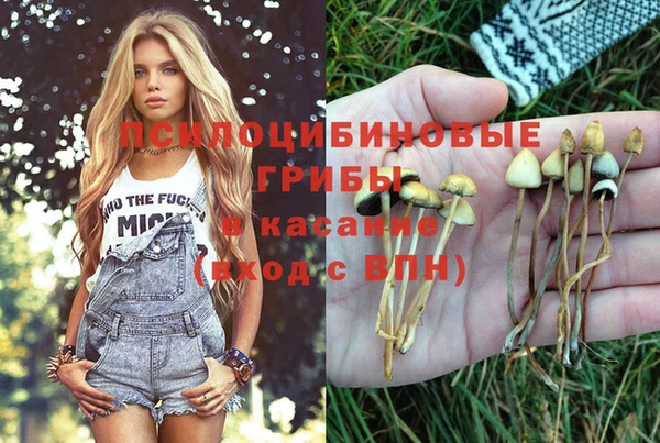 кристаллы Гусиноозёрск
