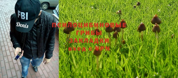 метадон Гусев